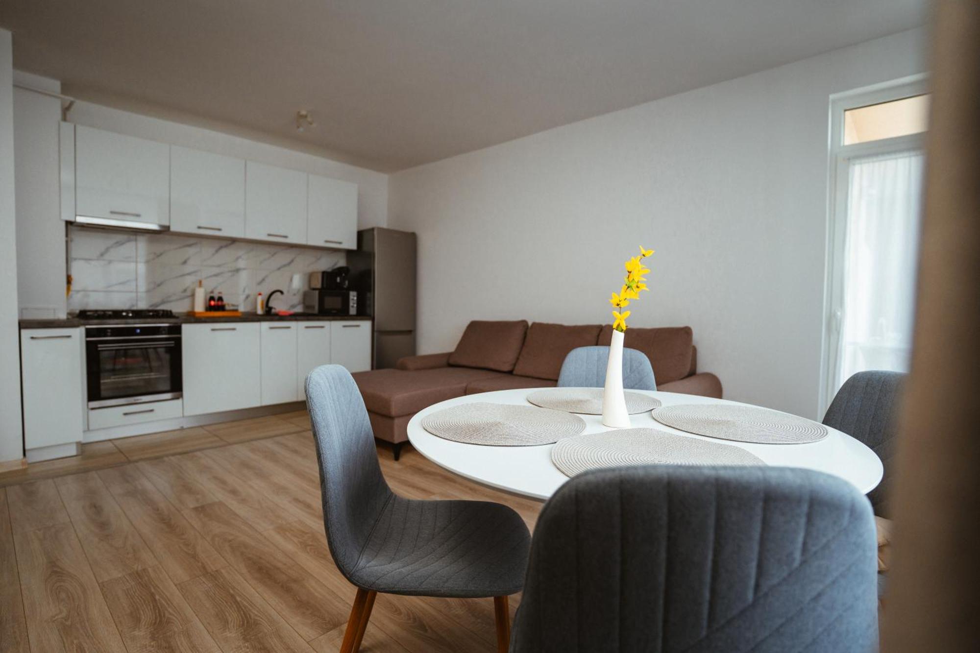 Maria'S Premium Suite Baia Mare Eksteriør billede