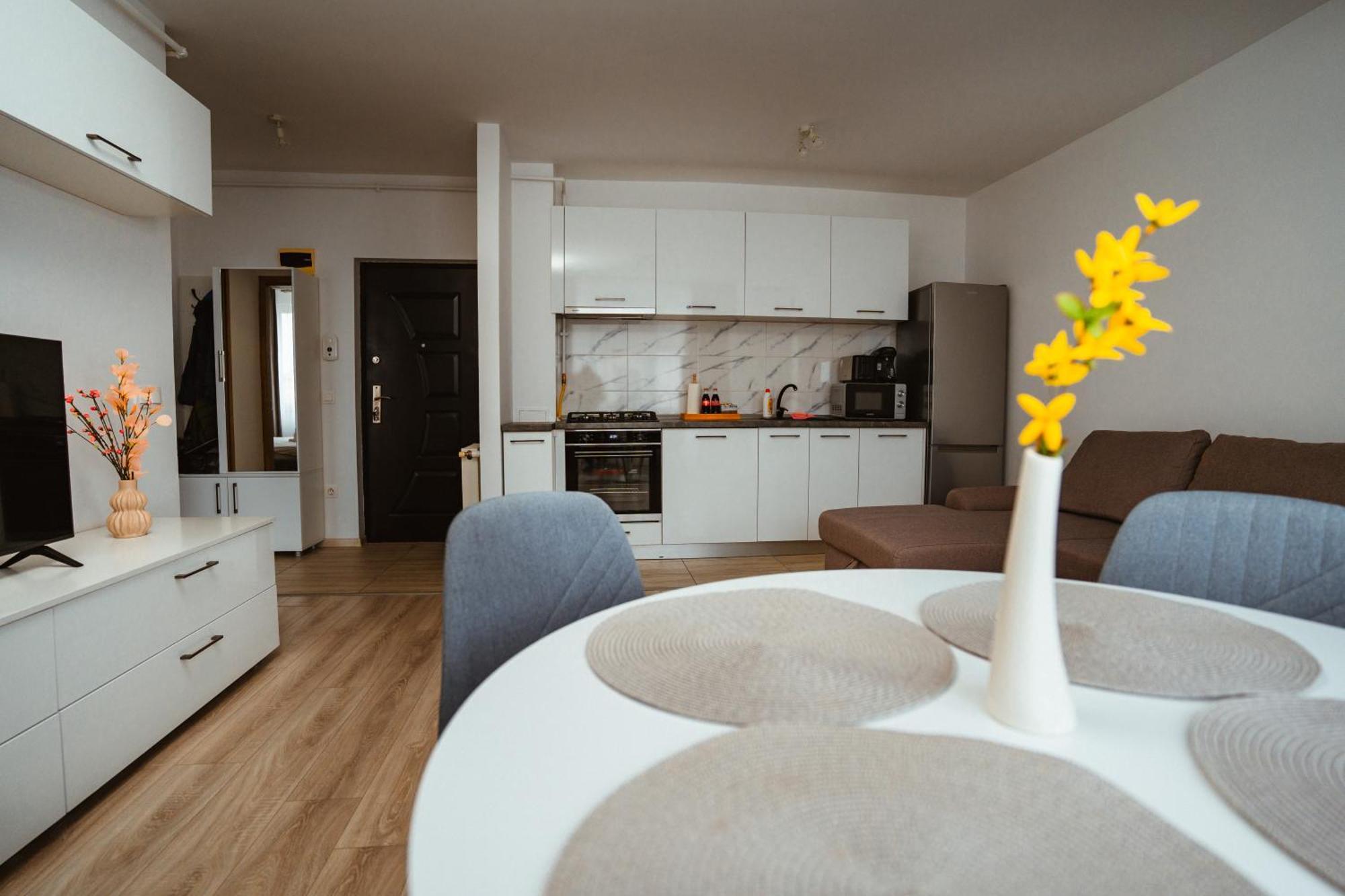 Maria'S Premium Suite Baia Mare Eksteriør billede