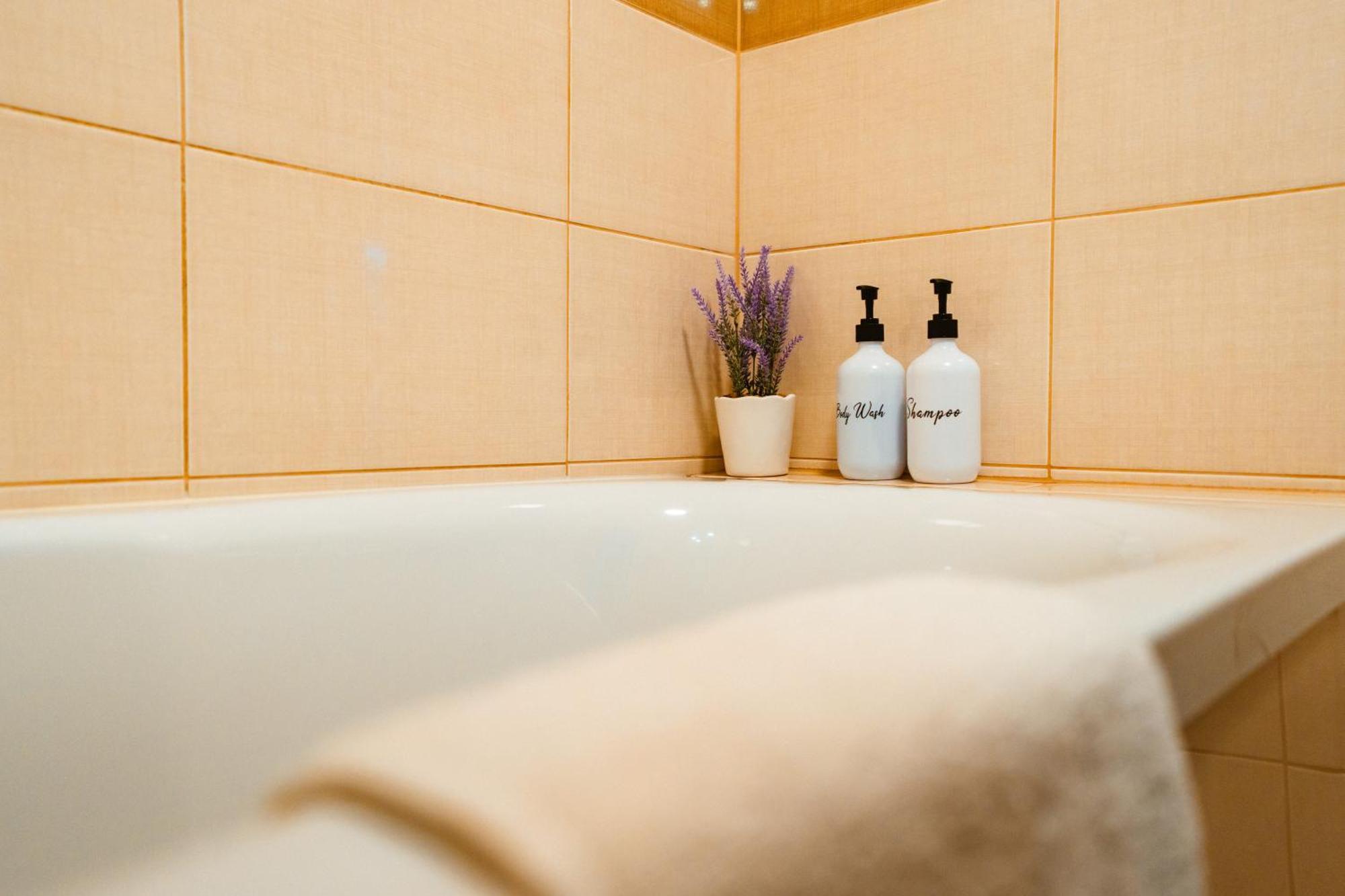 Maria'S Premium Suite Baia Mare Eksteriør billede